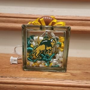 Decorative Glass Block with Football Theme